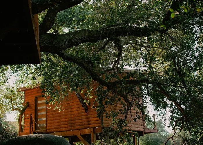 Boskenvid Hotel - Romantic Treehouses & Skypool Valle de Guadalupe
